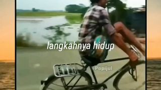 Funny video