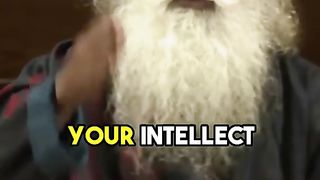 Identity  The Impact of Identification on the Intellect