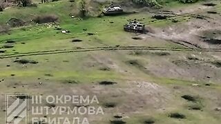 ФЕЙГИН ШОРТС 28