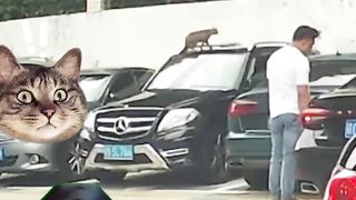 Must watch new comeday video| Funny video 2023 | Best Video