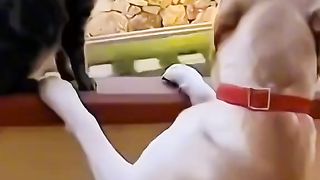Приколи 308