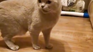 Приколи 312