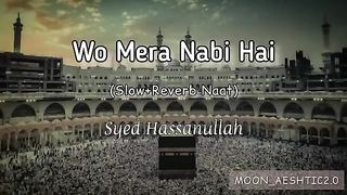 Wo Mera Nabi Hai (Slow+Reverb Naat) -- Syed Hassanullah