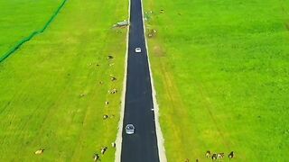 Amazing videos 14