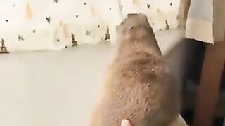 Small animals demanding to be petted