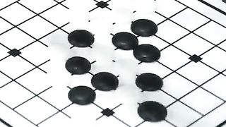 Ixtrolar 96