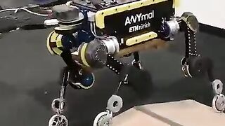 Ixtrolar 97
