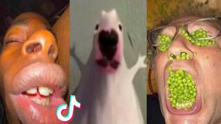 THE FUNNIEST TIK TOK MEMES Of August 2023 | (Try Not To LAUGH) ???? part 6