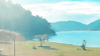 #lattakia