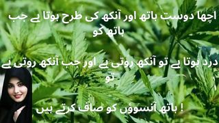 aqwal e zareen