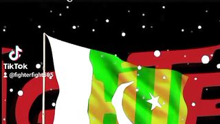 Pakistan Zindabad 5