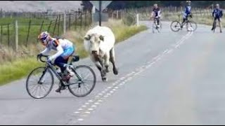 Funny Moments Of The Year Compilation ???????????? PART 5 4