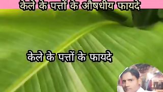 Banana Leaf benefit
