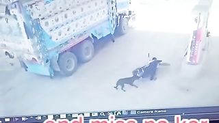 Comedy 104