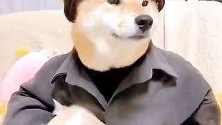 THE DOG AK MAN