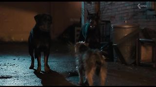 The_Best_Upcoming_Movies_2023_(New_Trailers)(360p)(1).