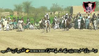 #hoers#riding in#jhamra#darbarkala#shah 9