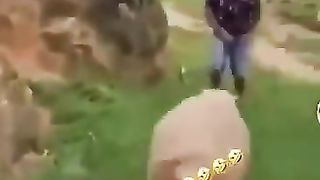 Funy videos 4