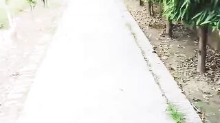 Walk and Talk in Garden