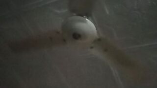 Fan playing
