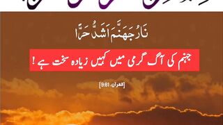 Quran , Al Quran Surah 09 Ayat 81 #viral #shorts #quran #youtubeshorts