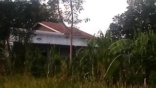 Animal lovers 525
