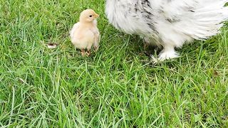 Happy mom and baby