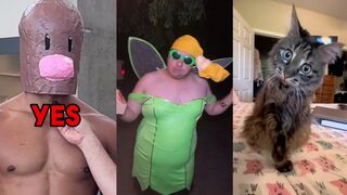 Funny TikToks that actually made me laugh