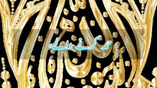 Ibadat Karne Wale | Surah Tauba| Quran Translation