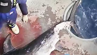 Offshore fishing