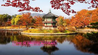 ✅Yoga relaxante para meditação em taças tibetanas som de água terapia vibracional