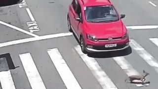 veja um terrível acidente por negligência,????????????