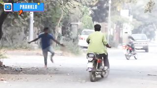 Funny Prank Dog - Pranklo