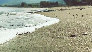 #lattakia 3