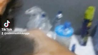 Anak kijo kucing lucu