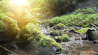 Beautiful Small River And Setting Sun In The Mountains