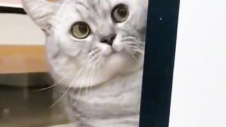 Приколи 325