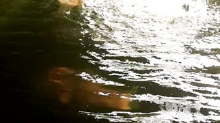 IKAN KOI