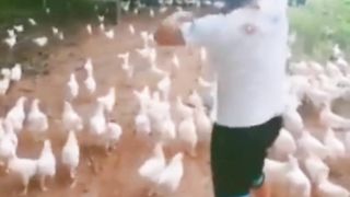 Funny vids