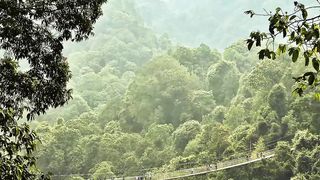 ✅Música instrumental vibrante para limpar o ambiente tirando toda energia negativa #Shorts