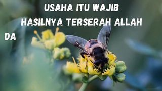 Tatanan Allah