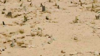 Ghazwa Baddar