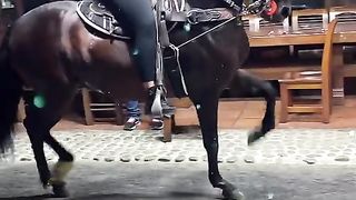 Hares AK dancer