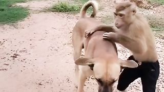 Janwarun Ka Piyar Bhee Ajeeb Hota Haiy