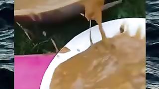 FUNNY CLIPS #6 Best Lunch in life
