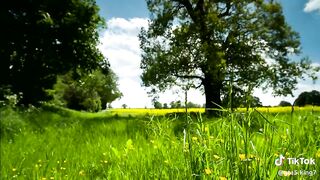I am photographer #photography