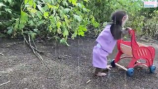 BiBi helps kitty stuck in the rain 2