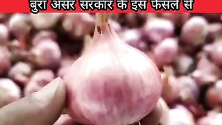 This decision of the government can have a bad effect on the price of onions