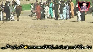 #hoers#riding in#jhamra#darbarkala#shah 10