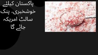 Good news for Pakistan, Pink Salt will go to America